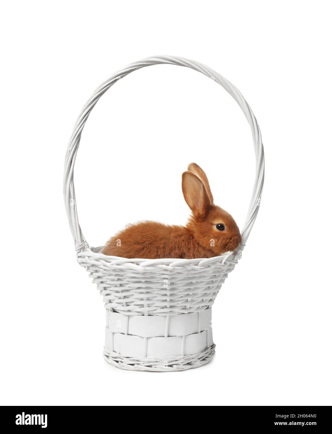 Basket with adorable bunny on white background Stock Photo - Alamy