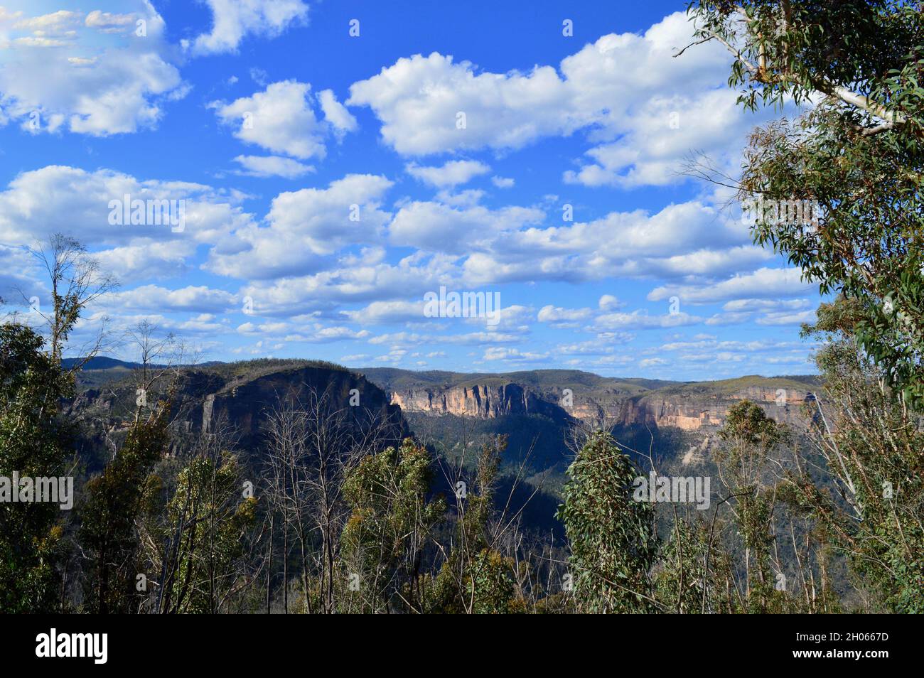 Mt victoria in blue mountains nsw hi-res stock photography and images ...