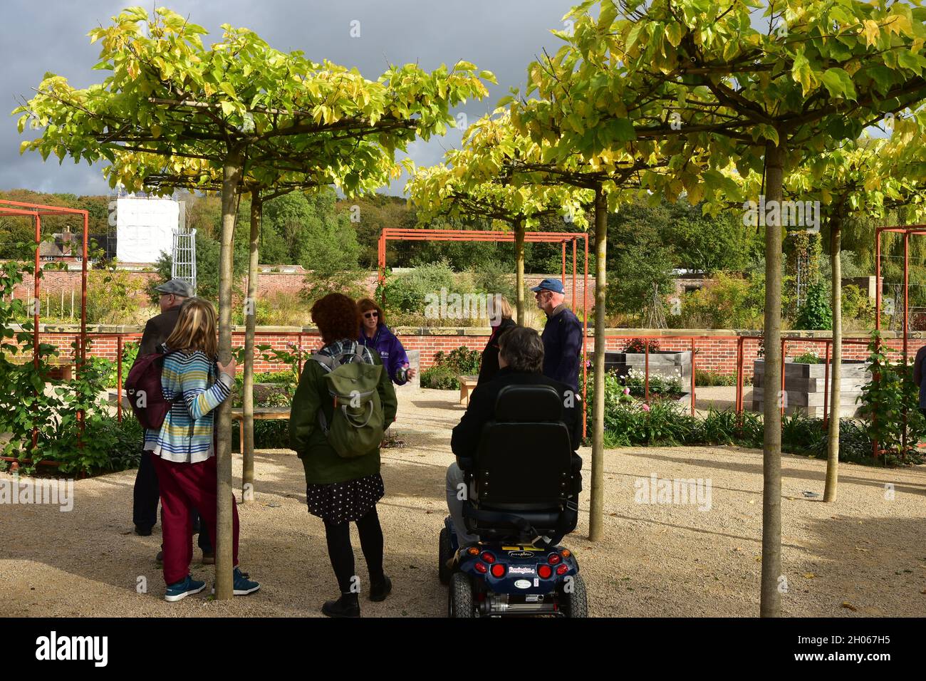 Lady in a wheelchair rhs hires stock photography and images Alamy