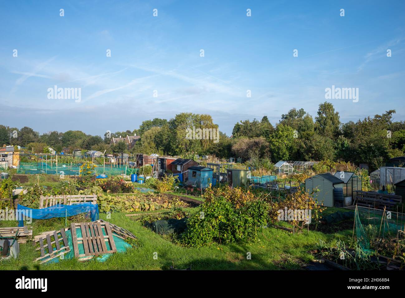 Dial Lane Allotments. Cave Close, Downend, Bristol BS16 6EH (Oct21) Stock Photo