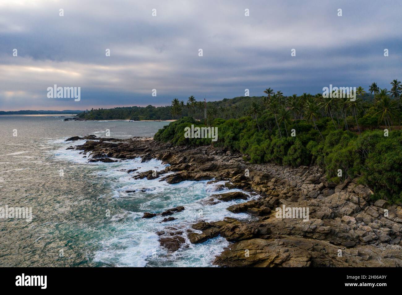 Aerial view palm trees sunset hi-res stock photography and images - Alamy