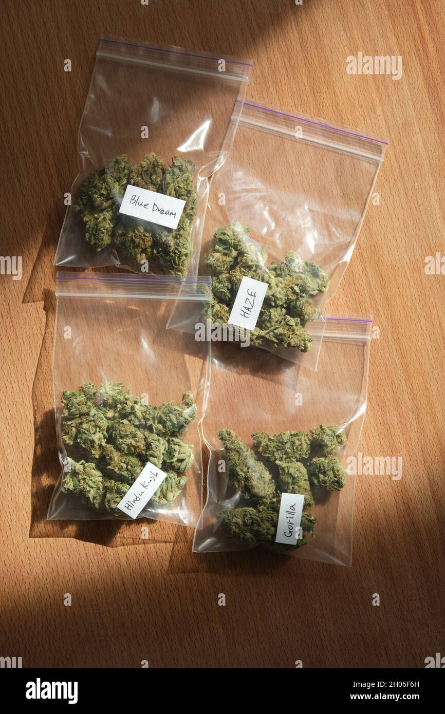 Dried cannabis buds in a plastic bags on wooden table. Brown background.  Varietal marijuana flowers. Top view, flat lay. Everyday hemp routine Stock  Photo - Alamy