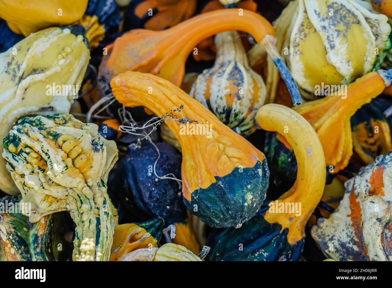 Stacked pumpkins during the fall in Canada Stock Photo - Alamy