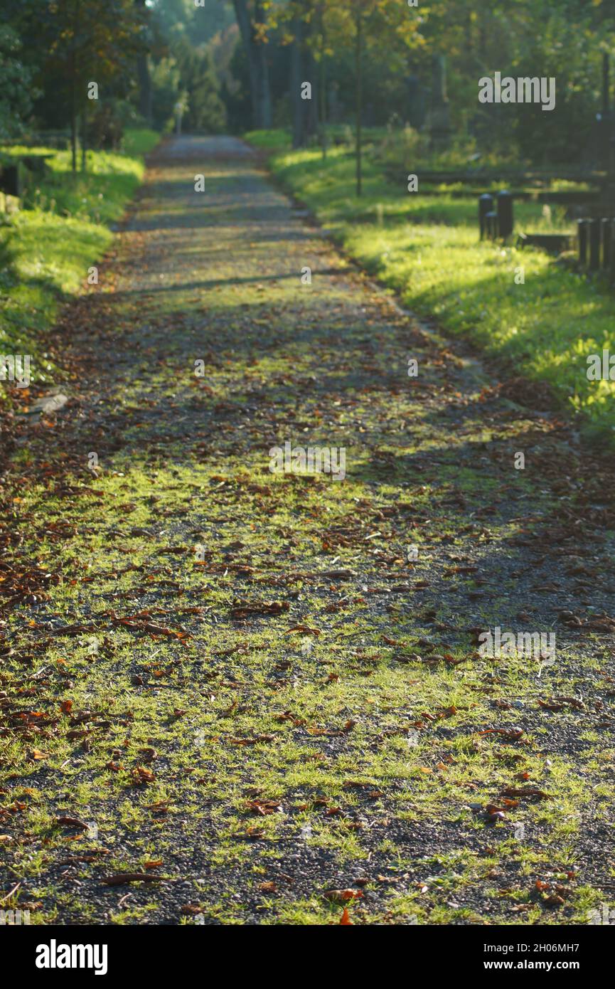 Friedhofsweg - Altstadtfriedhof Mülheim-Ruhr Stock Photo