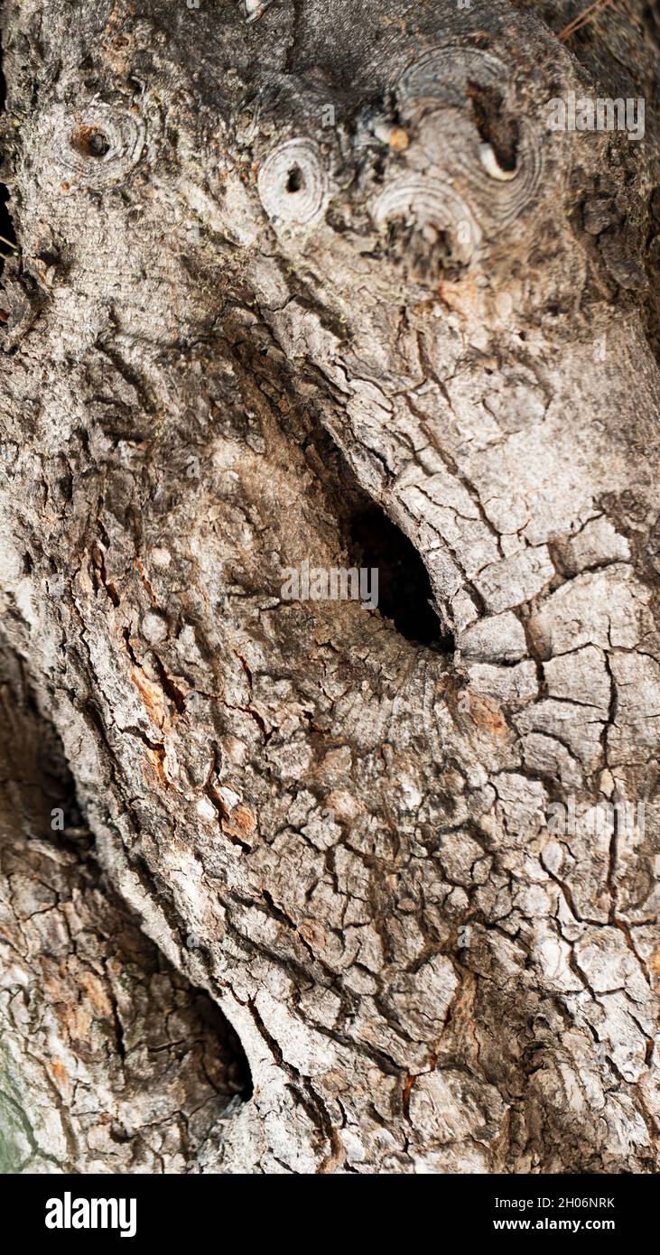 Close up wood texture background Stock Photo - Alamy
