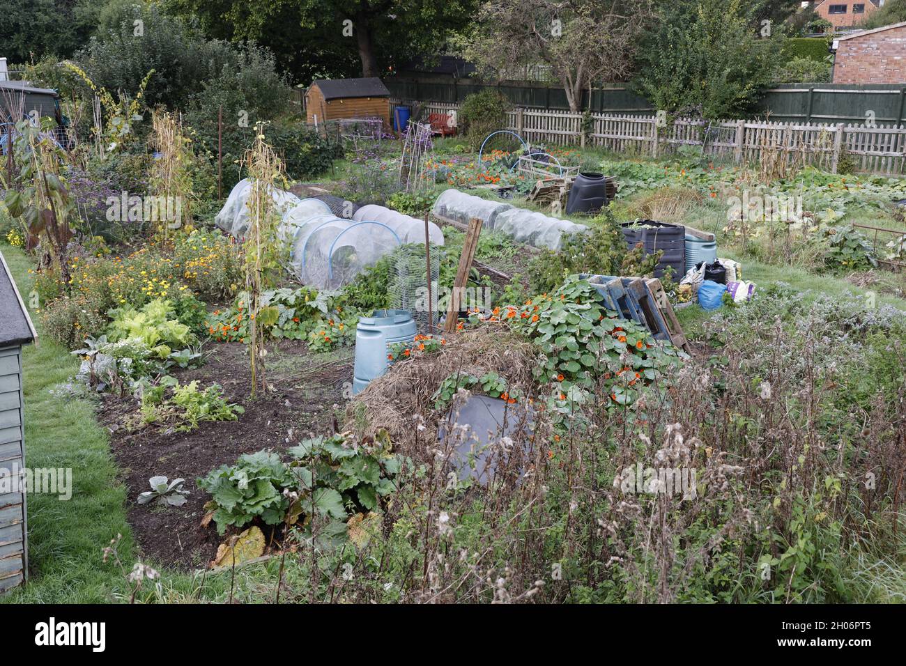 Productive allotments with end of season vegetables in late Autumn
