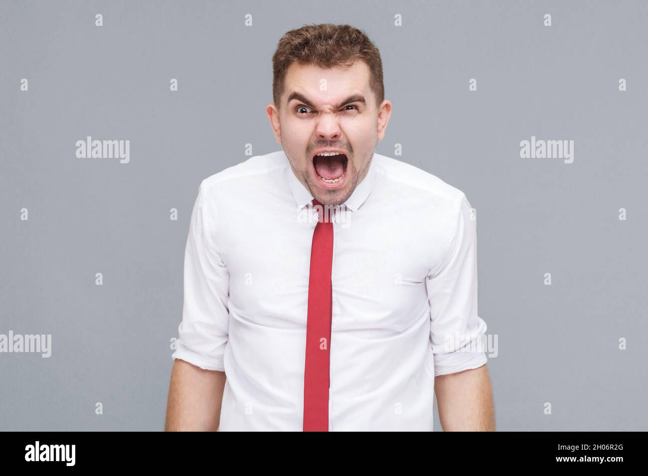 Portrait of young angry crazy man in white shirt and tie standing and screaming. indoor isolated on gray background. Stock Photo