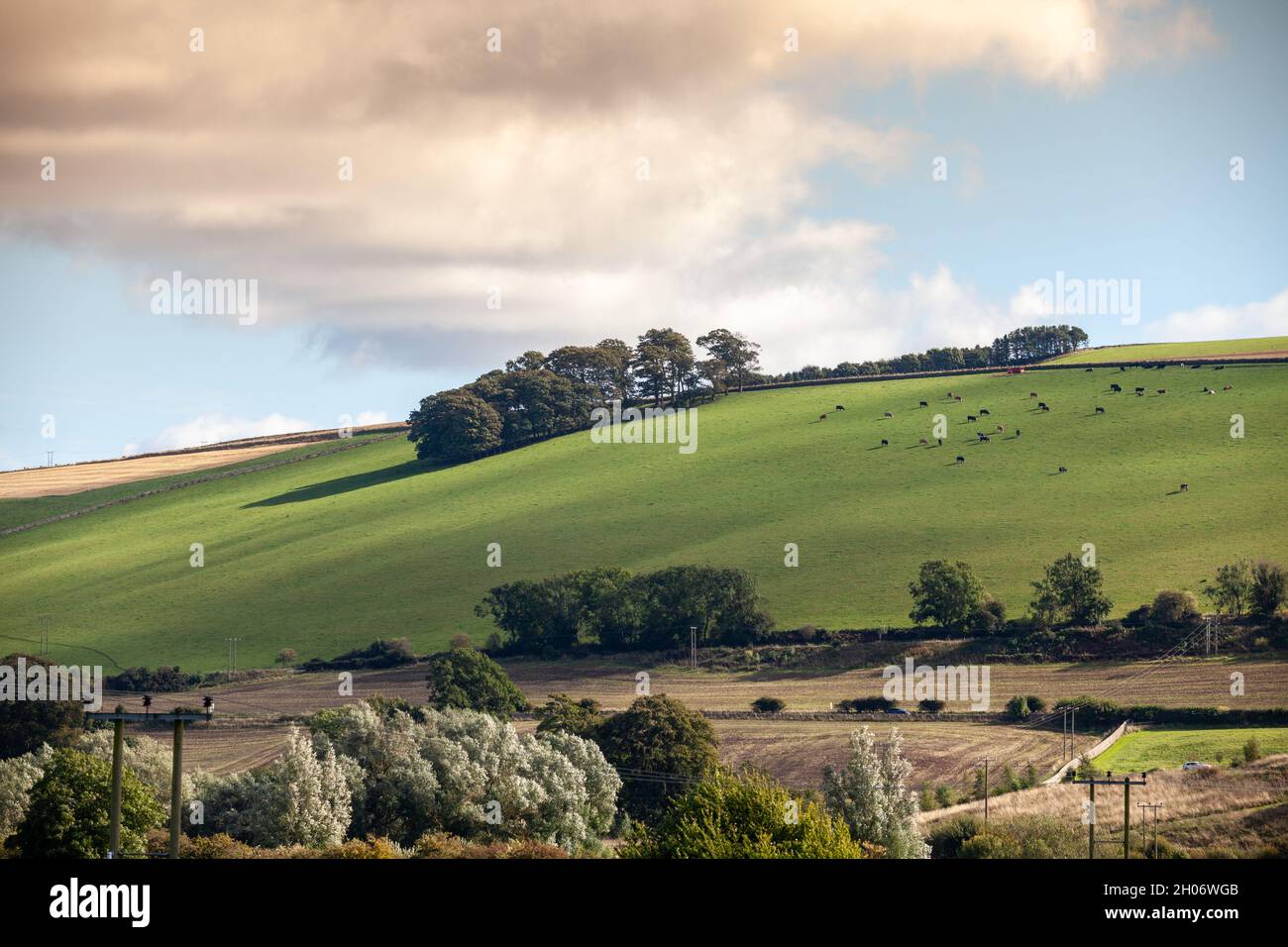 Looking towards the Hill of Tarvit from Cupar Muir, Fife, Scotland Stock Photo