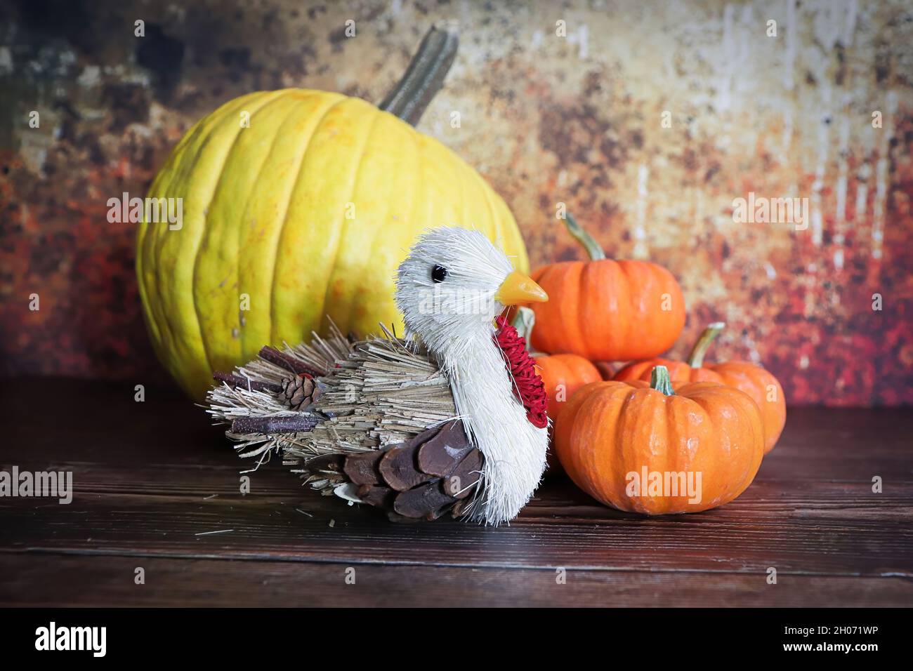 A thanksgiving background with a turkey and pumpkins Stock Photo - Alamy