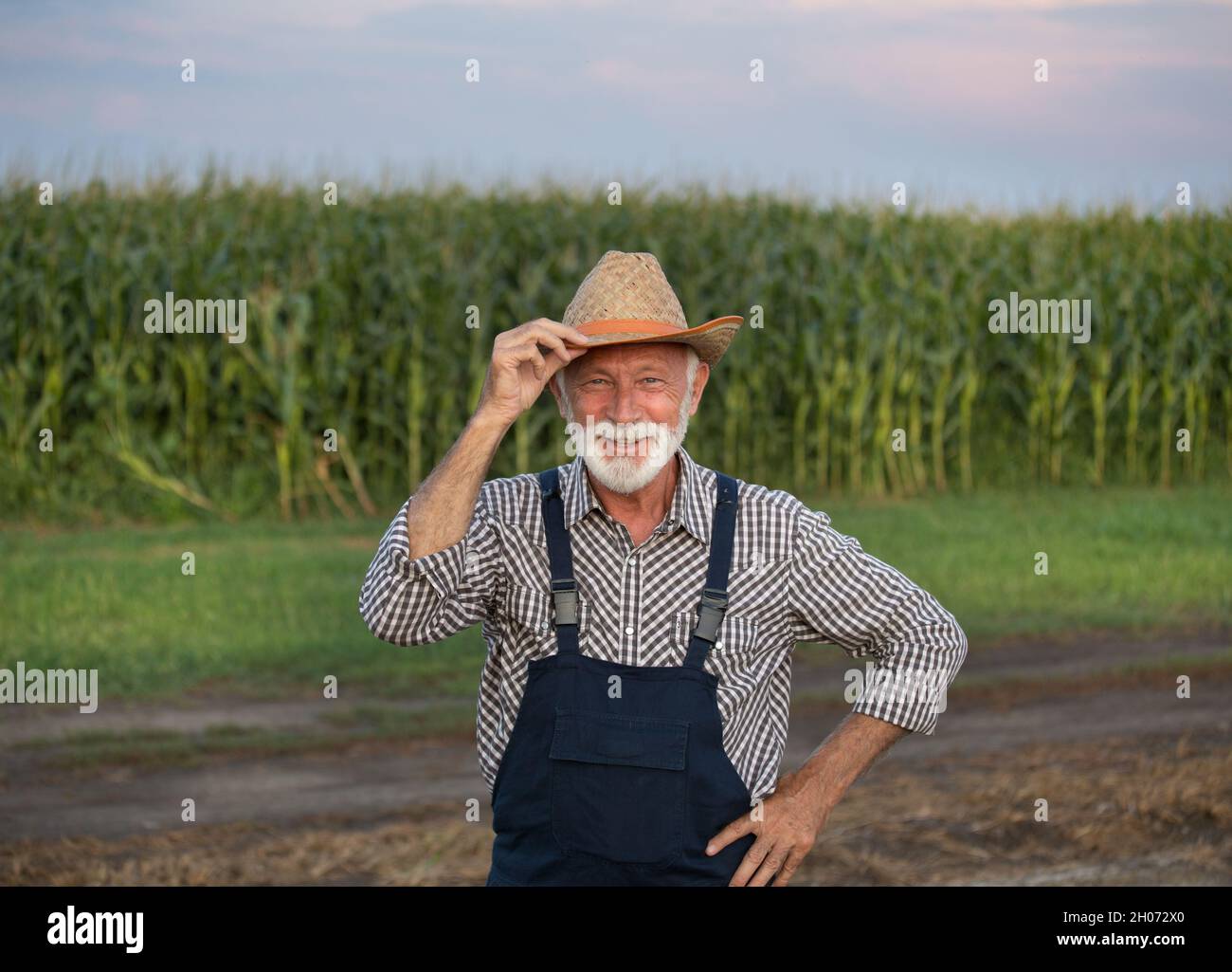 Old farmer straw hat portrait hi-res stock photography and images