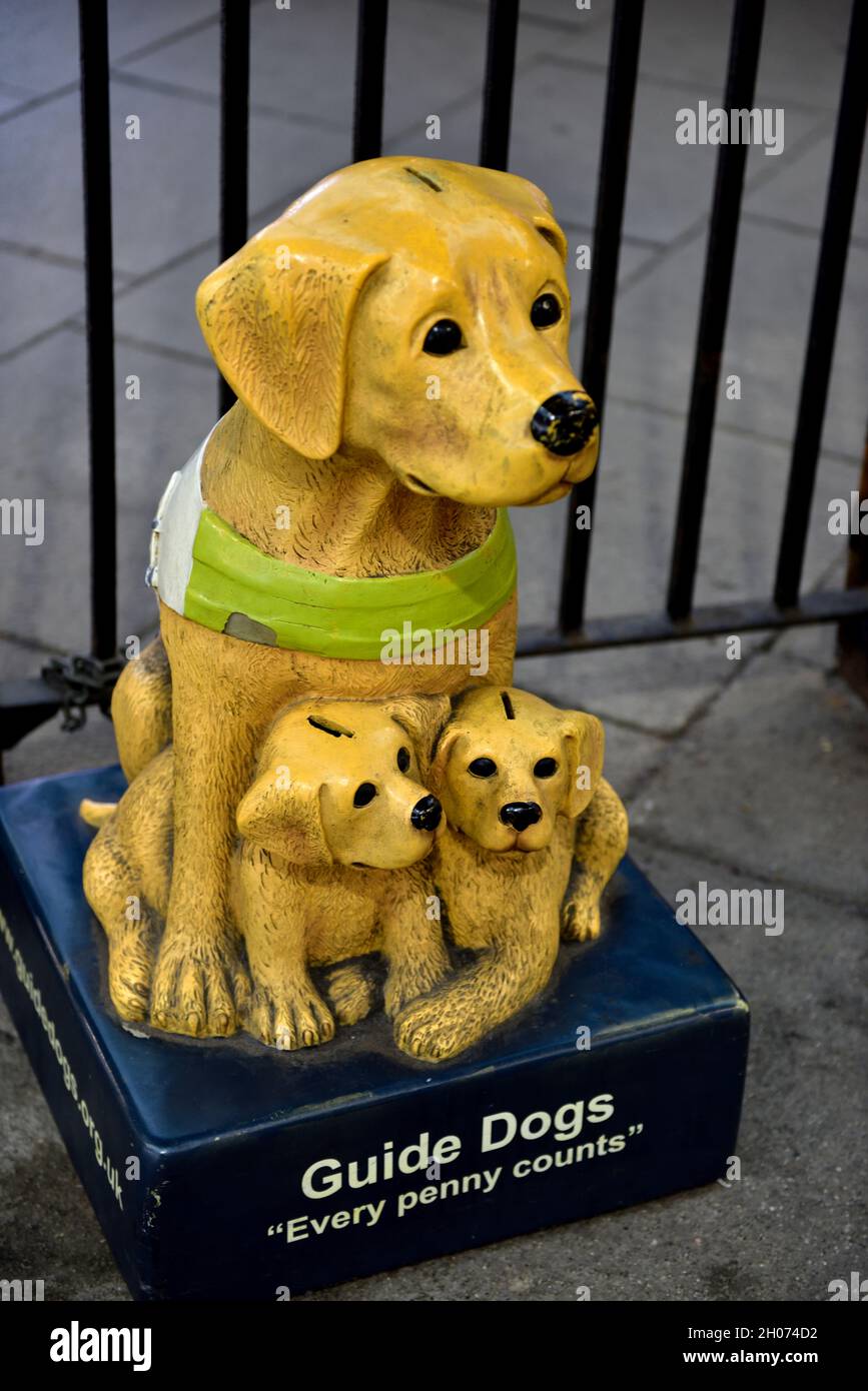 Guide Dogs for the blind charity labrador and her puppies donation box Stock Photo