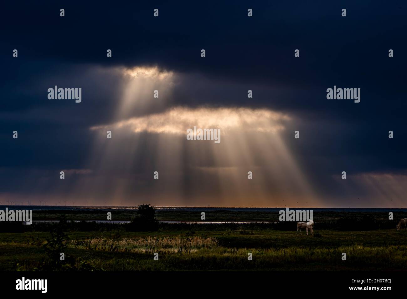 dramatic cloudy sky releases sun beams Stock Photo