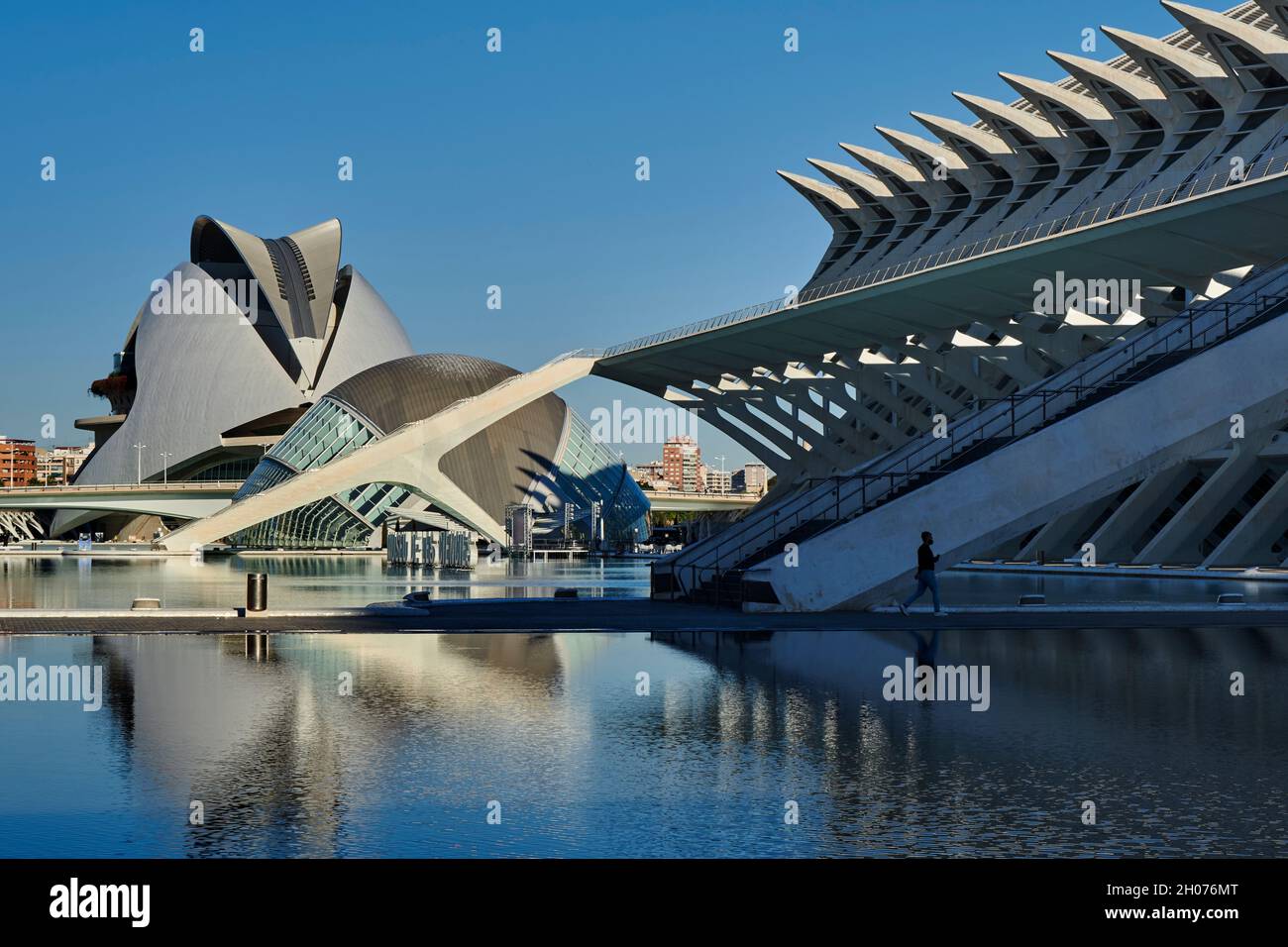 City of Arts and Sciences. Principe Felipe Science Museum, Ciudad de las Artes y las Ciencias, Valencia, Spain, Europe Stock Photo