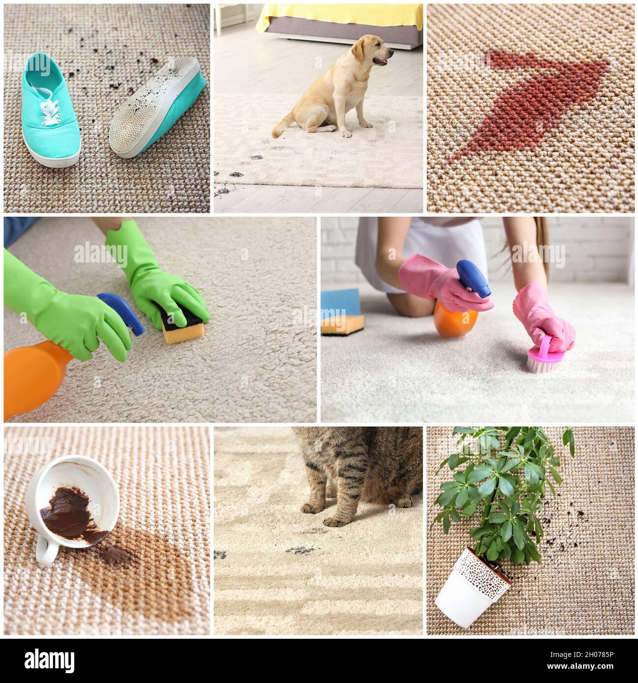 Set with different types of dirt on carpets. Cleaning concept Stock