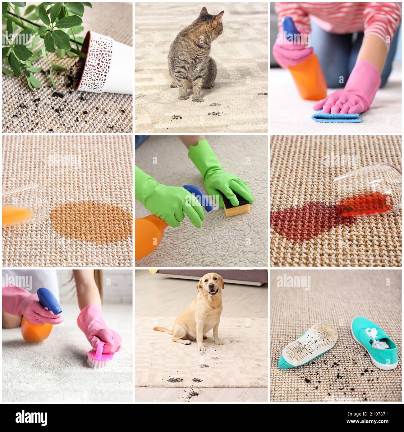 Set with different types of dirt on carpets. Cleaning concept Stock