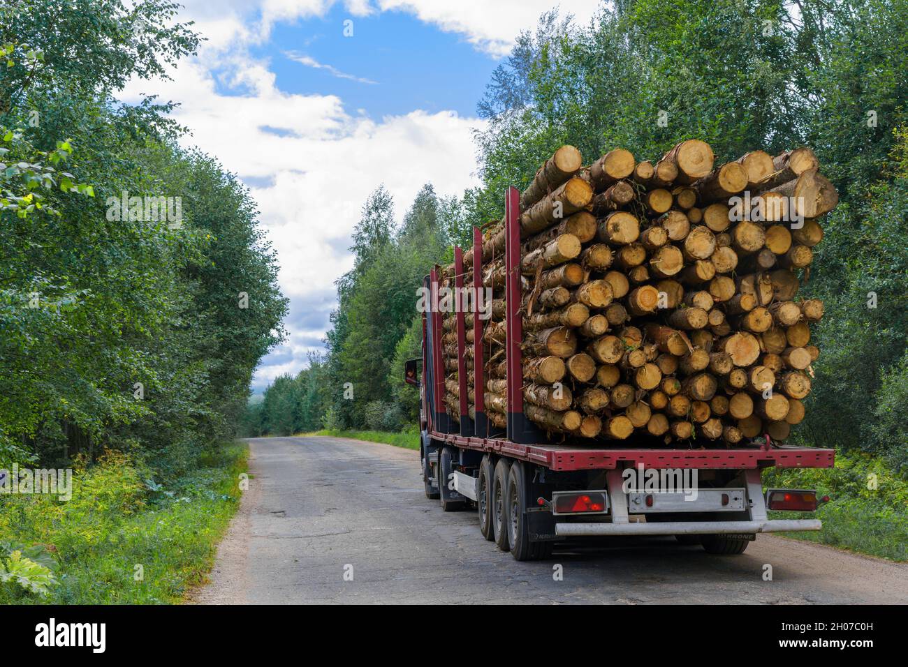 Tree Logs Removal Forestry work: removal of tree trunks. Removal of wood for processing ...