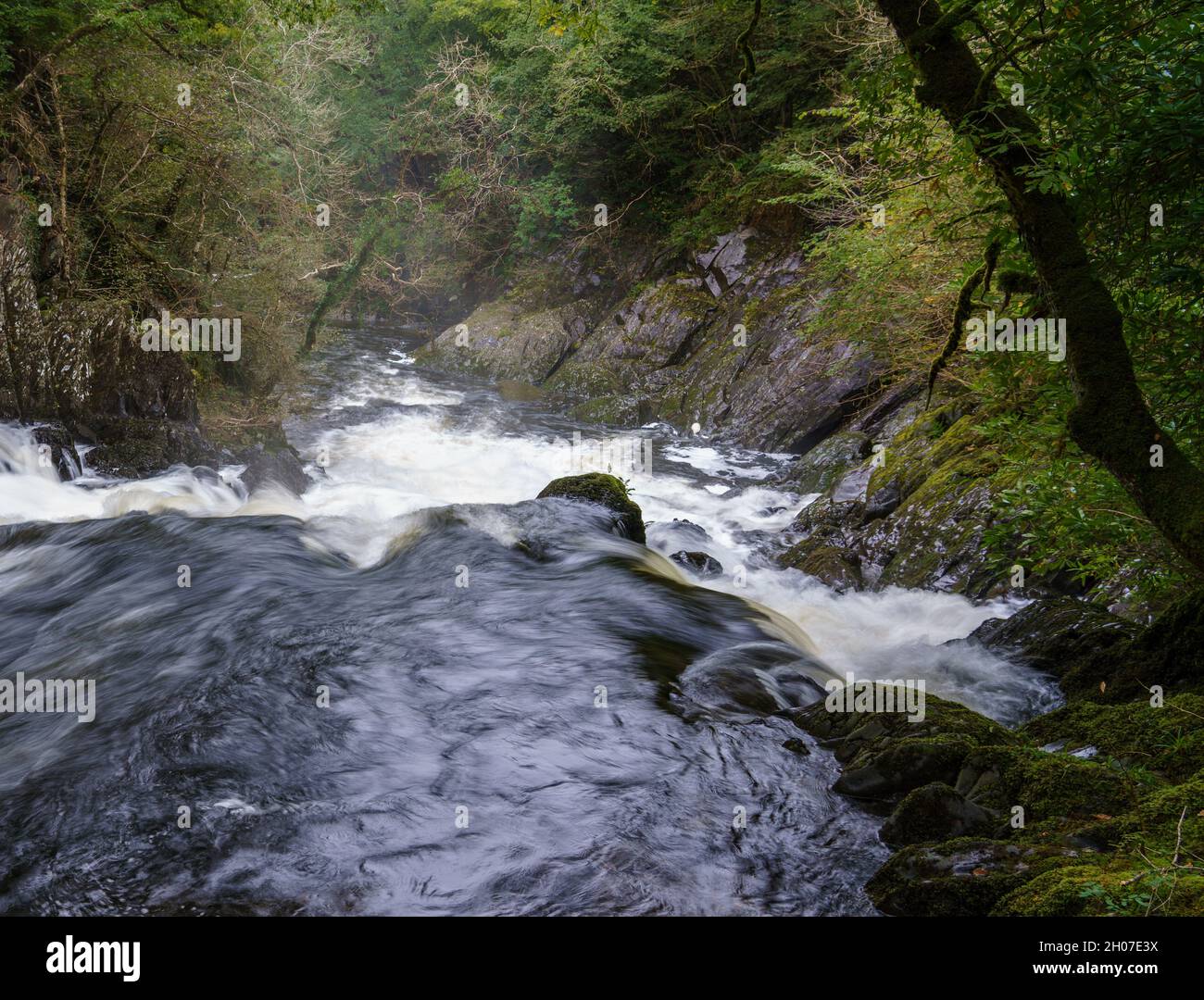 long exposure of white water cascading over the magnificent Rhaeadr Ewynnol Swallow Falls Waterfall, Betws-y-coed, Snowdonia National Park, Wales UK Stock Photo