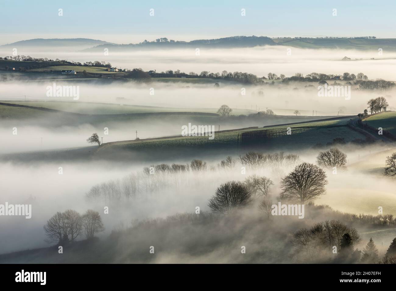 Morning mist around Broadwindsor, Marshwood Vale, Dorset, England, UK Stock Photo