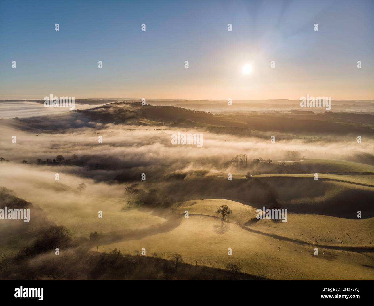 Aerial view of sunrise over Lewesdon Hill and the Marshwood Vale, Dorset, England, UK Stock Photo