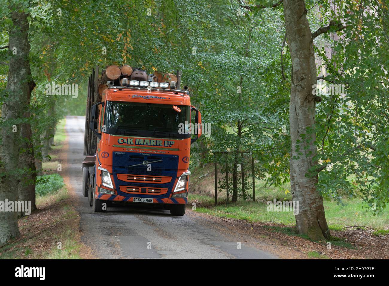 A Haulage Contractor's HGV Carrying Logs on a Country Lane Through Forest in the Scottish Highlands Stock Photo