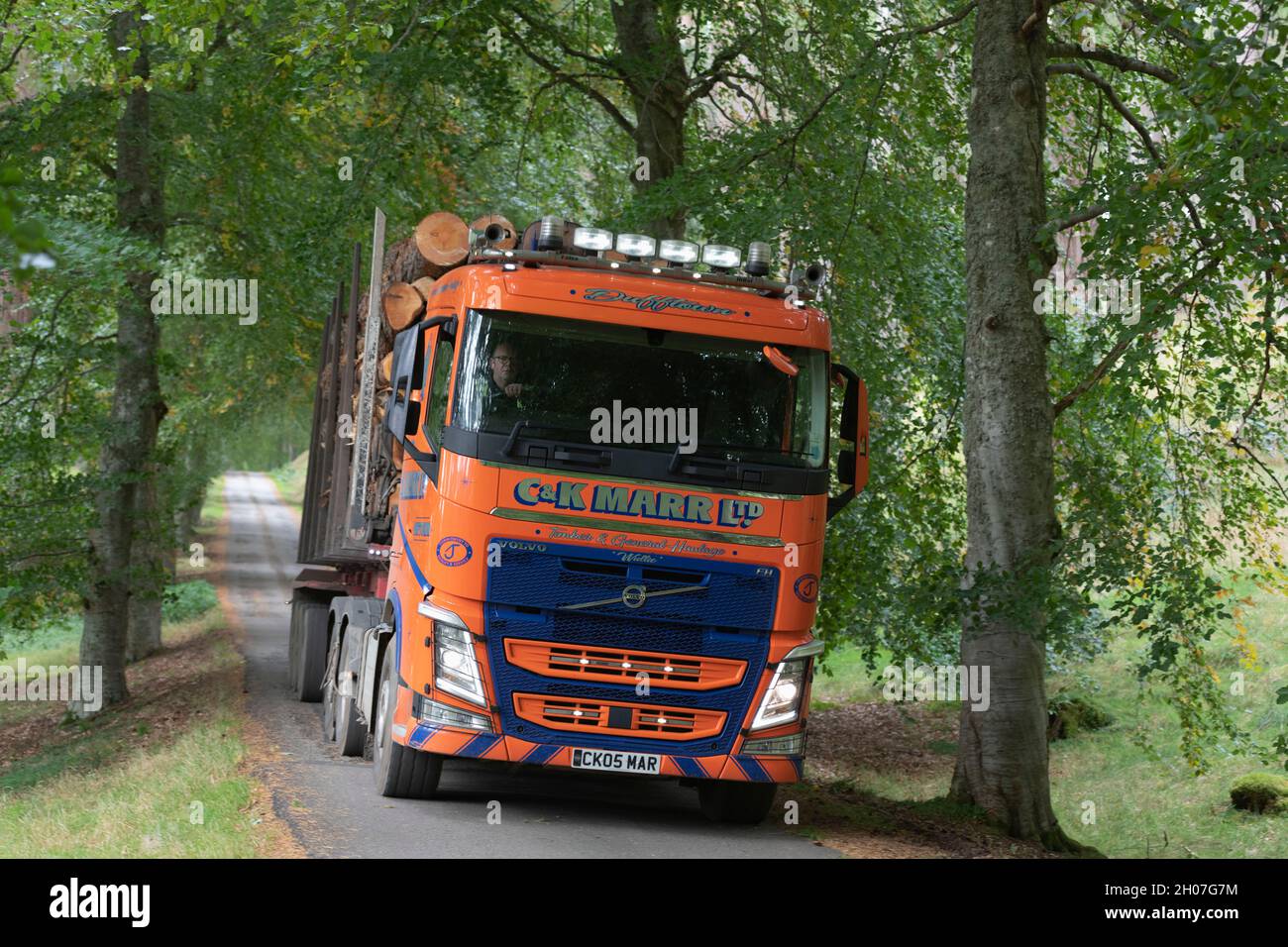 A C & K Marr Ltd Lorry Transporting Logs Along a Single Track Road Through a Forest on the Invercauld Estate in the Cairngorms National Park Stock Photo