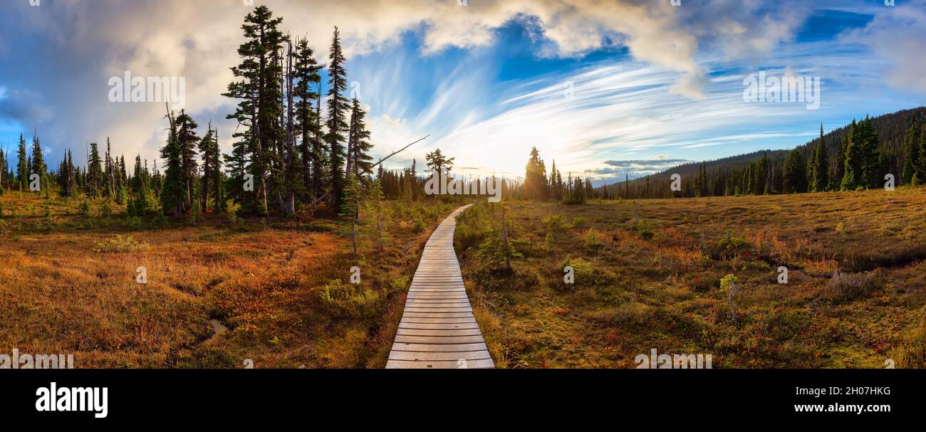 Hiking trail outdoors in Canadian nature Stock Photo - Alamy