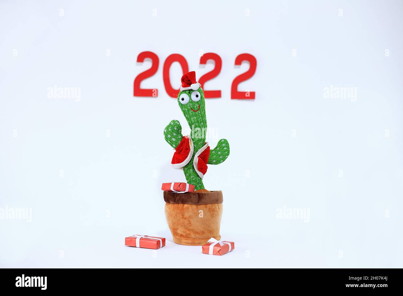 Green cactus with the numbers 2022. New Year's flower in a flower shop. New Year at the sea. Meeting 2022 in Egypt. Dancing cactus in anticipation of the new year Stock Photo
