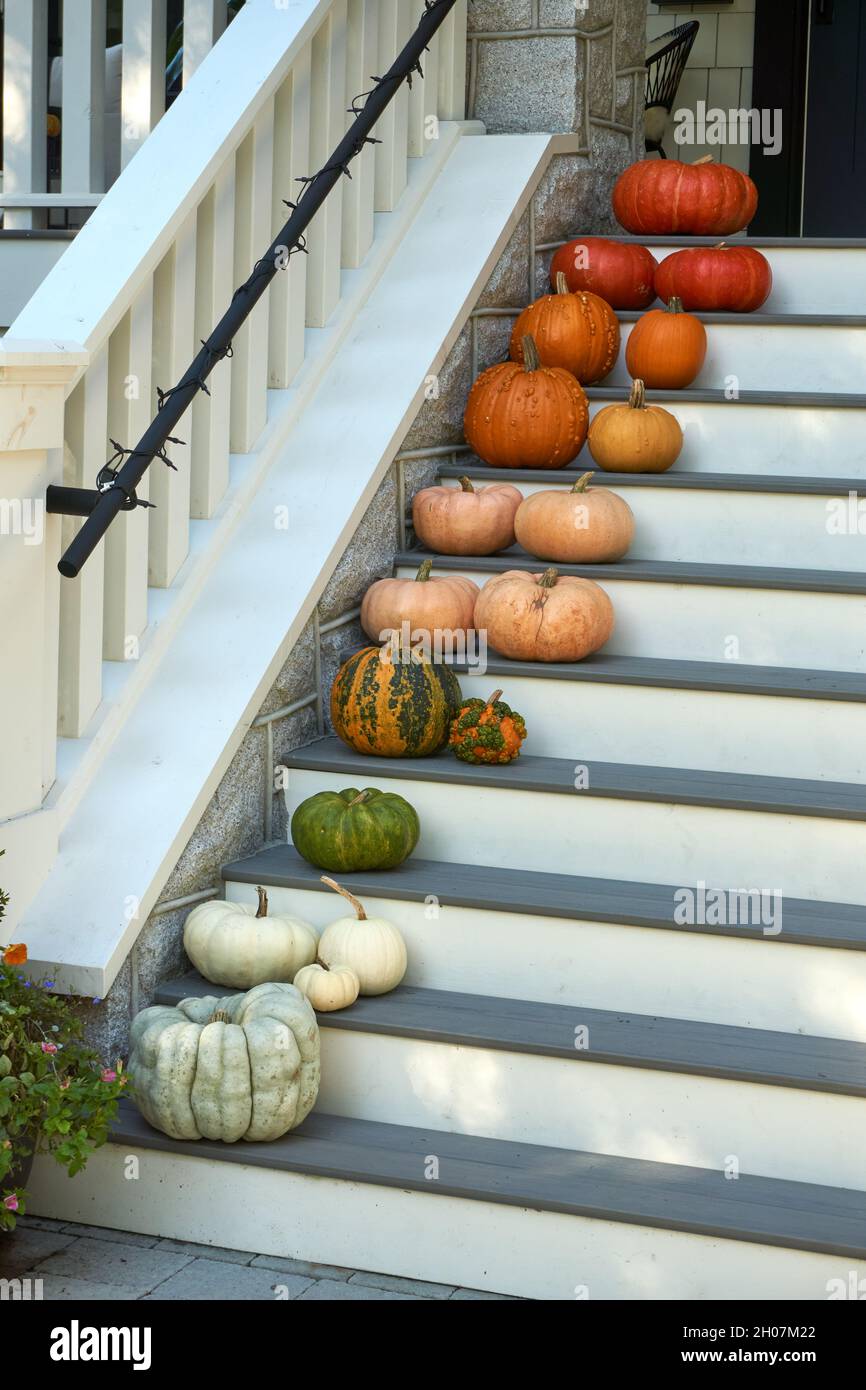 Various types of pumpkins lined up on the front stairs of a house Stock Photo