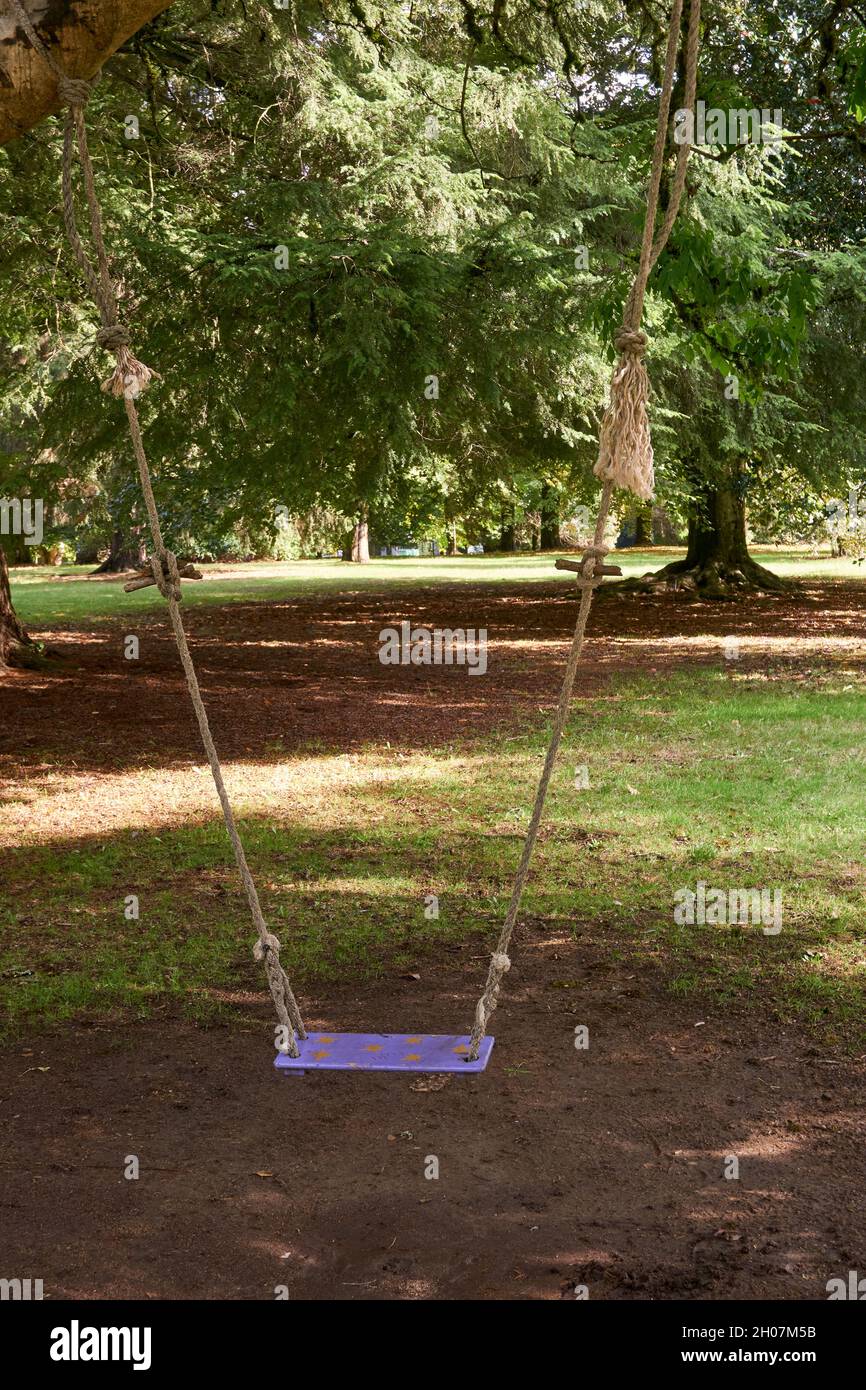Empty child's swing hanging from a tree in a park Stock Photo