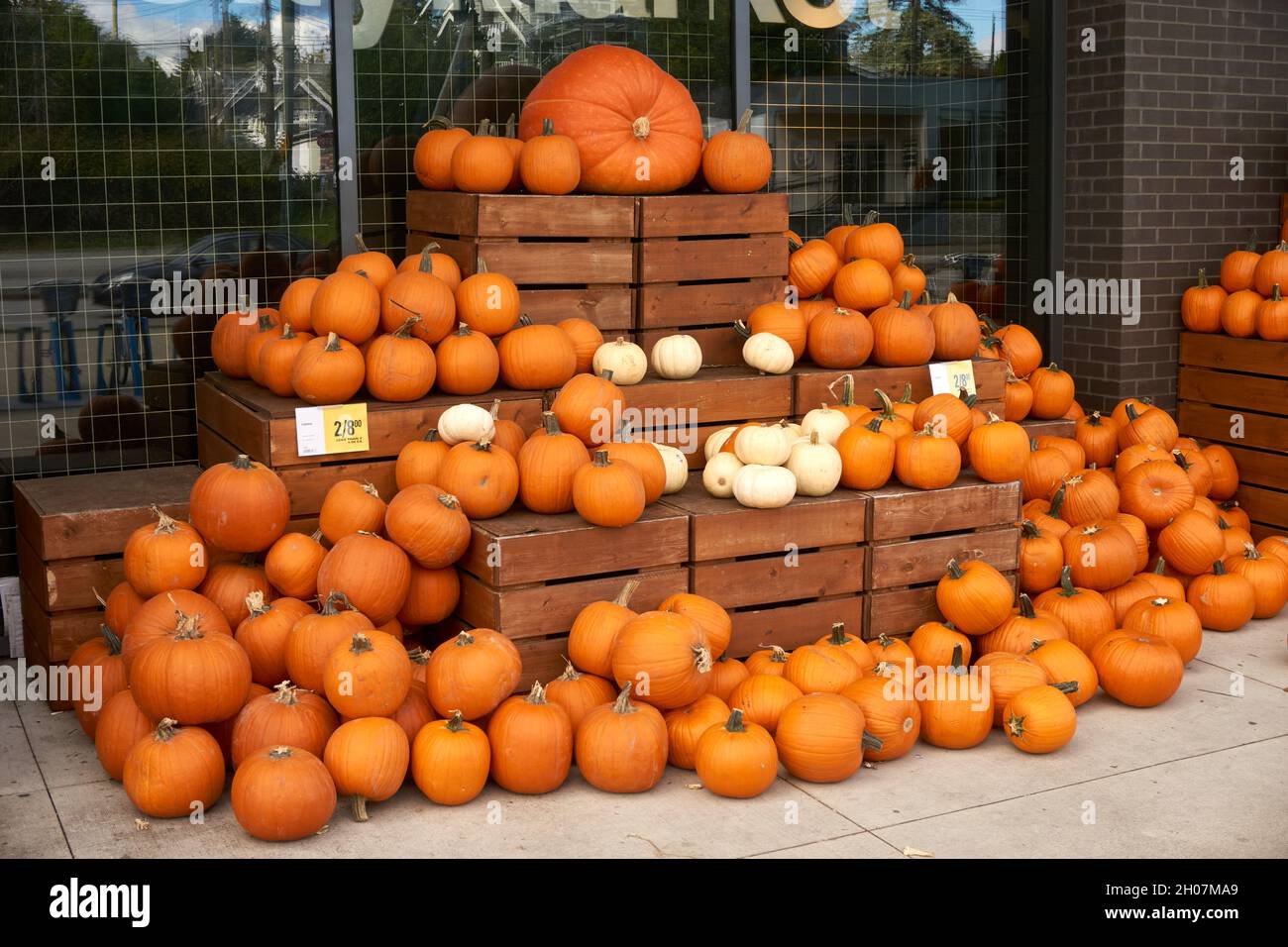 Fresh orange and white pumpkins displayed outside a store Stock Photo