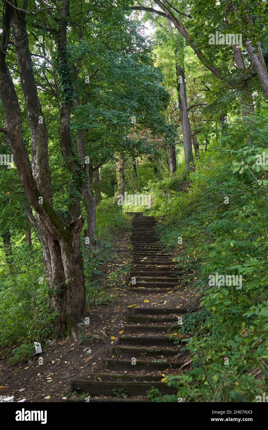 Road going uphill path hi-res stock photography and images - Alamy