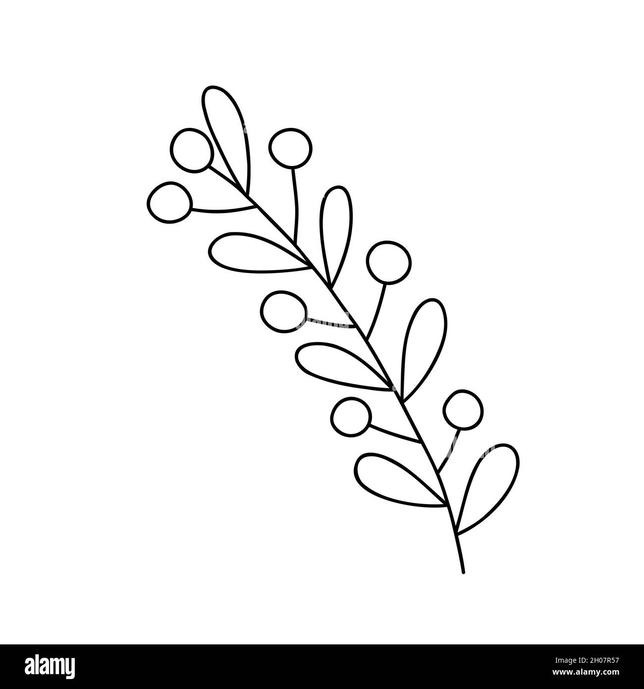 Christmas plant decorative branch with leaves, berries for home decor, festive holiday arrangement, vector illustration for seasonal greeting card, invitation, banner Stock Vector