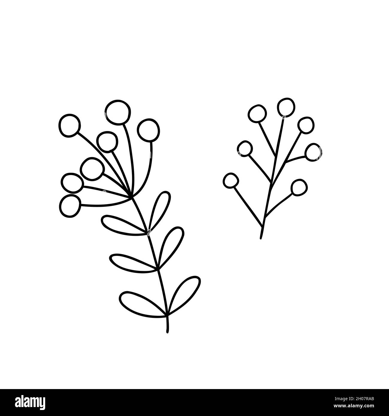 Christmas plant decorative branch with leaves, berries for home decor, festive holiday arrangement, vector illustration for seasonal greeting card, invitation, banner Stock Vector