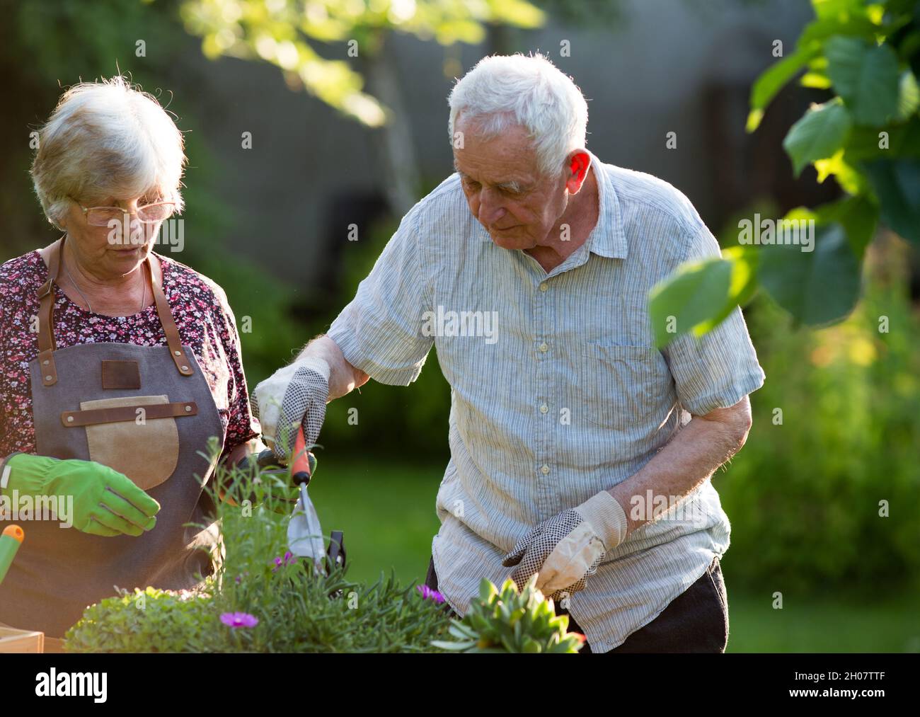 Old couple gardening hi-res stock photography and images - Alamy