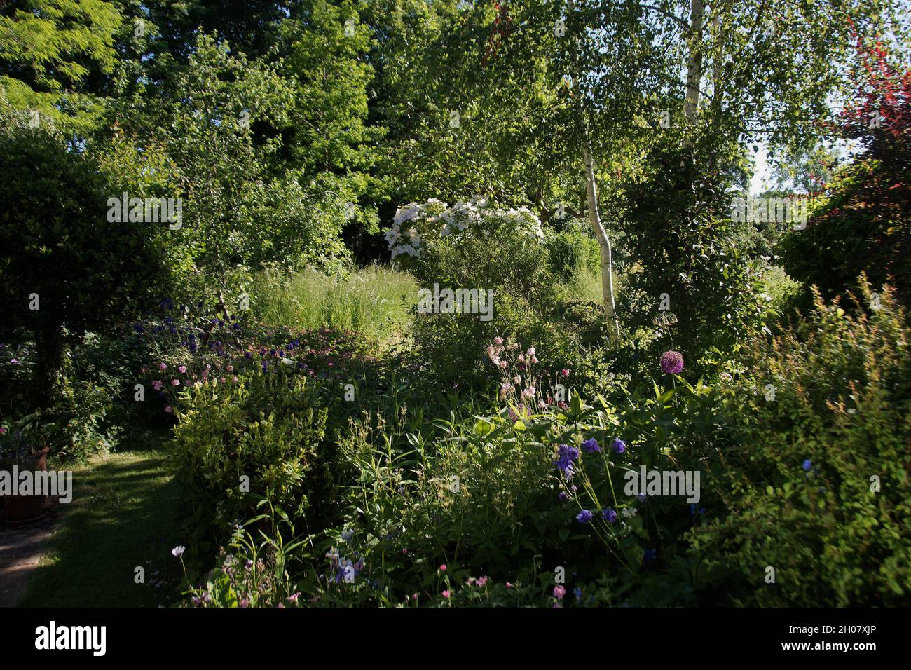 Informal country garden in mid-June Stock Photo