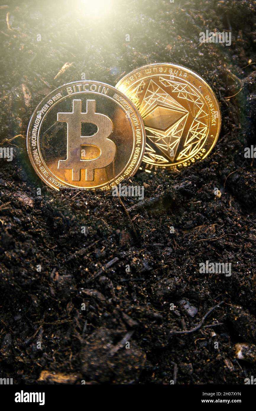 Bitcoin coin in the soil. Mining cryptocurrencies concept. Yellow buried  coin and shovel Stock Photo - Alamy