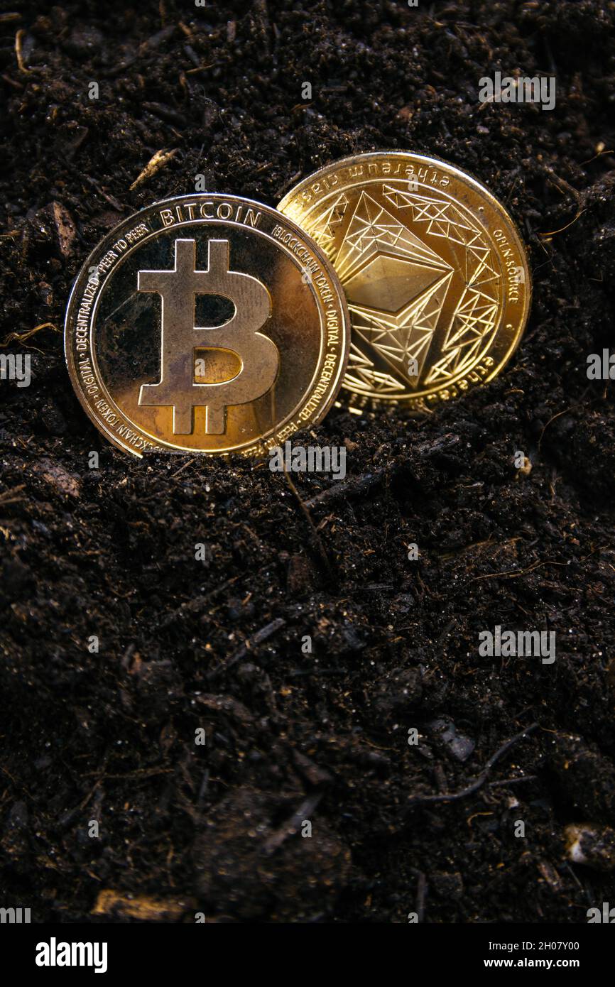 Bitcoin price prediction hi-res stock photography and images - Alamy