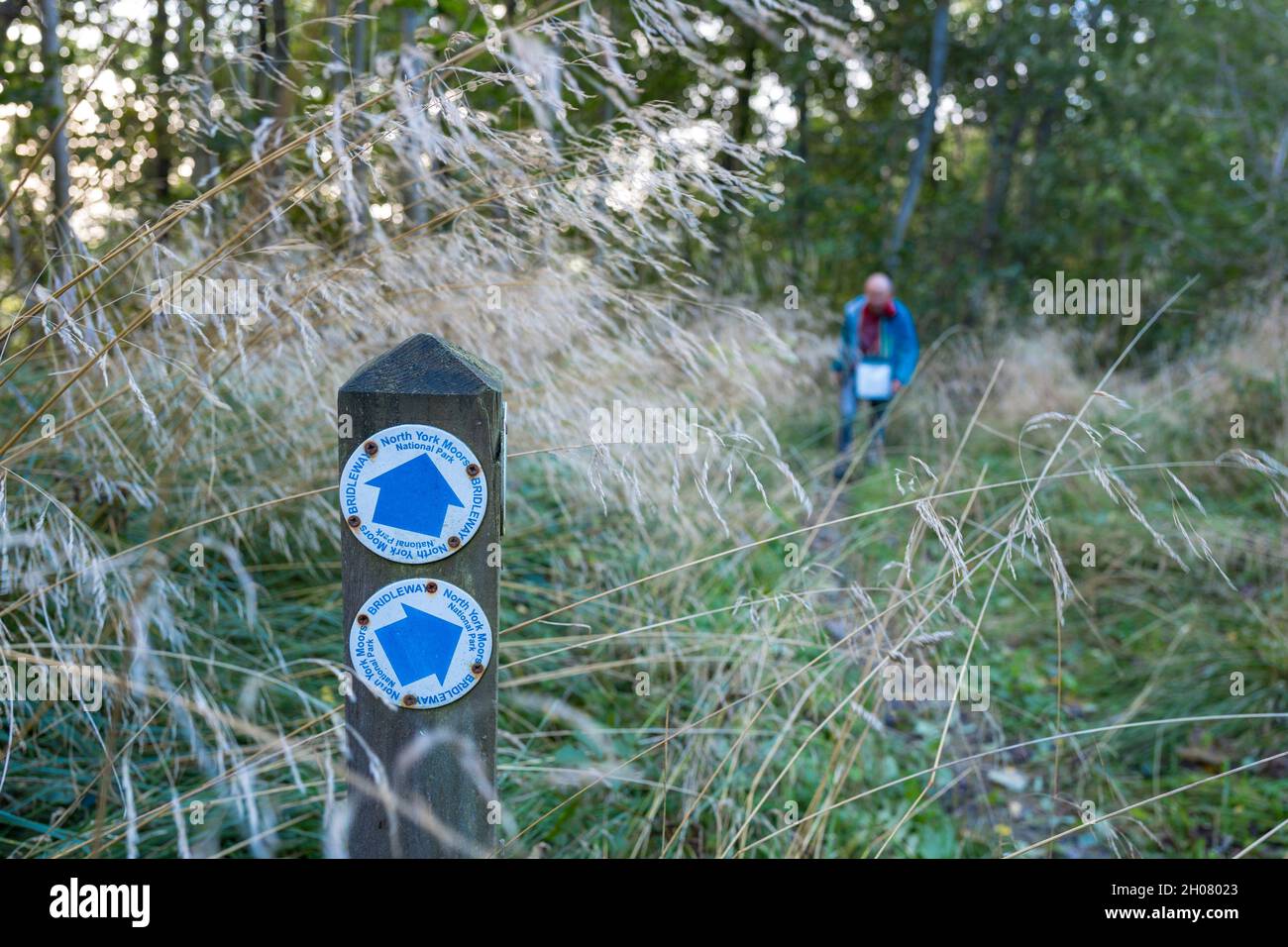 Walkers walking on the North York Moors bridleway above Gormire Lake