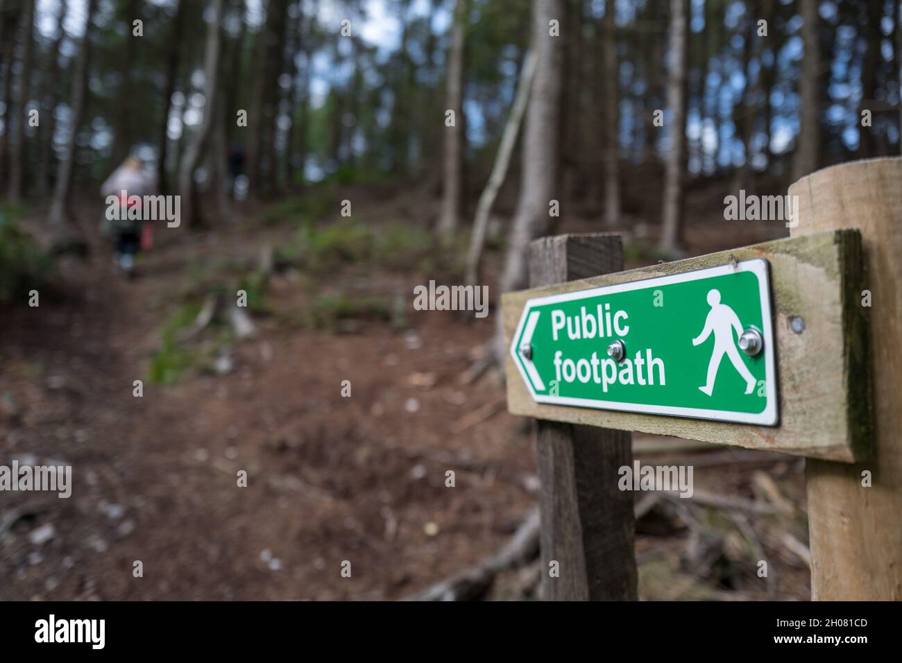 Walkers walking on the North York Moors bridleway above Helmsley