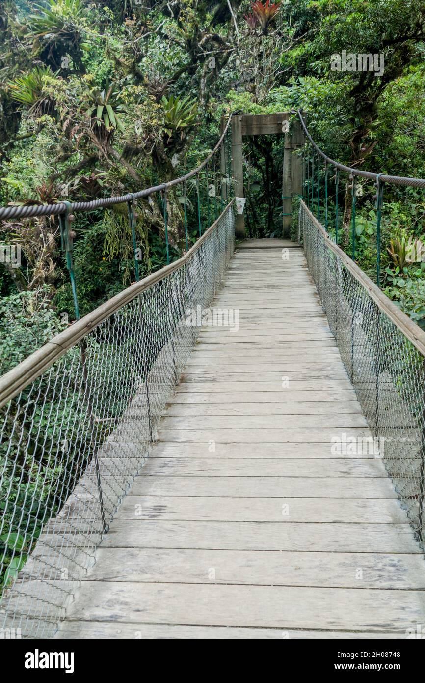 Suspension bridge leading to the viewpoint on Pailon del Diablo (Devil's Cauldron) waterfall near Banos town, Ecuador Stock Photo