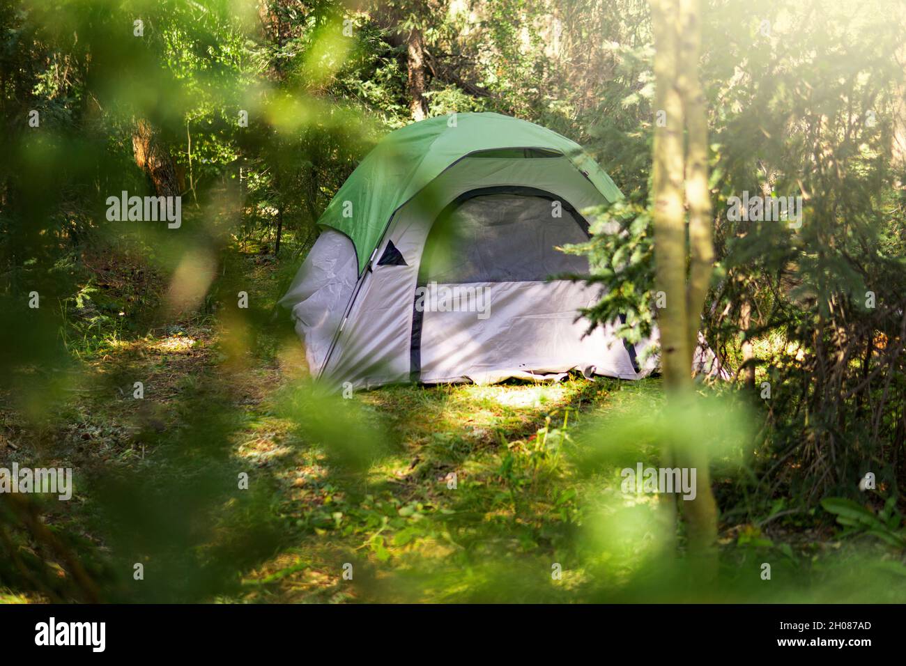 Tent Surrounded By Trees In Green Forest Stock Photo