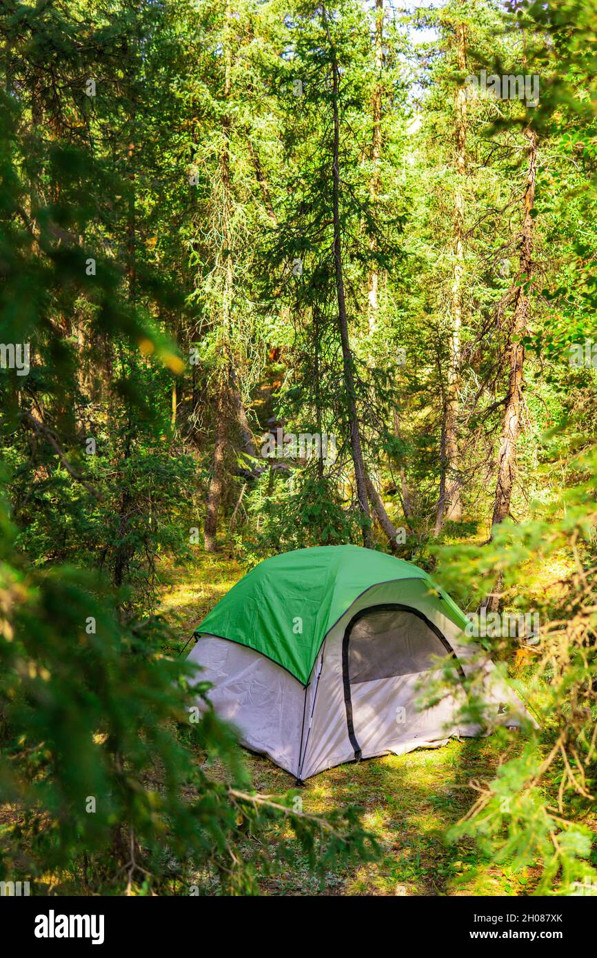 Tent In Forest Surrounded By Green Trees Stock Photo - Alamy