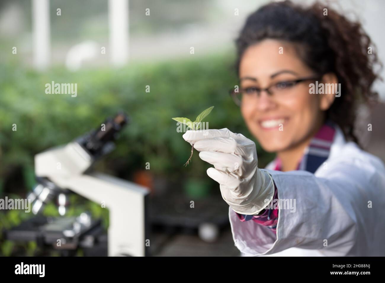 Young woman biologist holding sprout and checking it's health. Plant