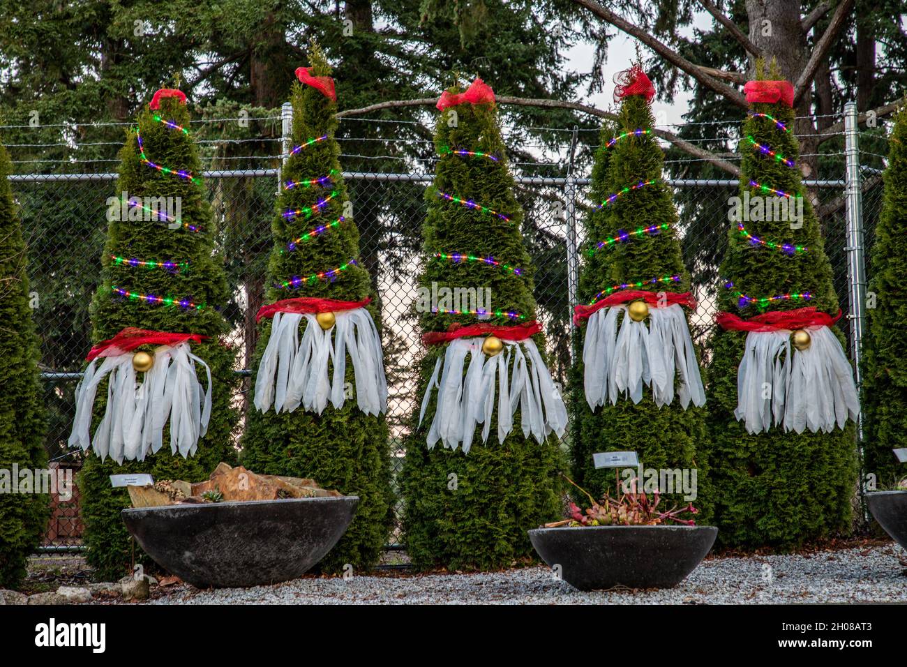 Everett, WA. USA 12/04/2020 Evergreen Evergreen Arboretum & Gardens