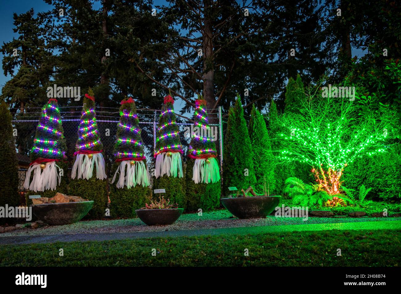 Everett, WA. USA 12/04/2020 Evergreen Evergreen Arboretum & Gardens