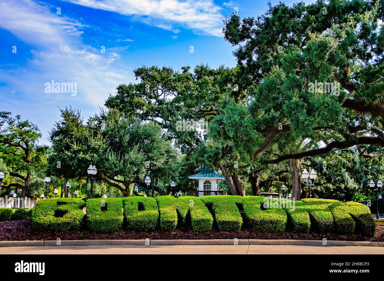 Hedges are pruned to spell out the word, “Boomtown” at Boomtown Casino, Oct. 9, 2021, in Biloxi, Mississippi. Stock Photo