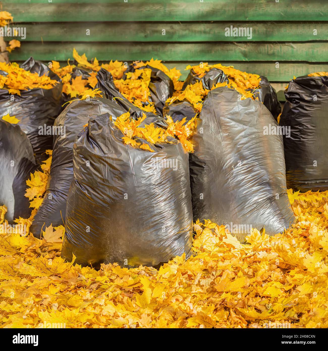 The big plastic bags for branches and leaves Stock Photo - Alamy