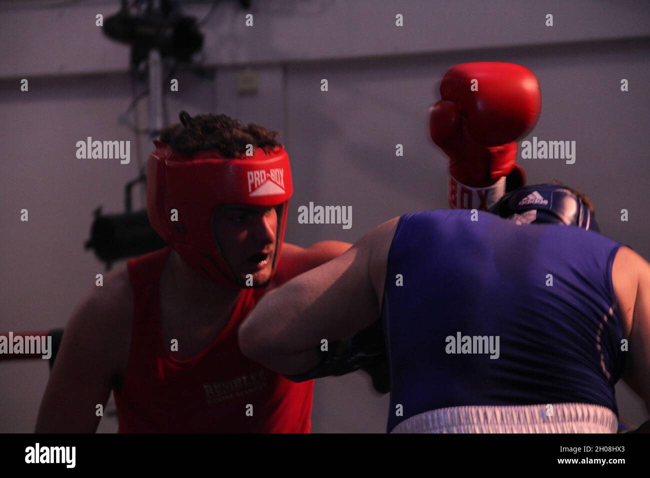 Ready to Rumble Stock Photo Alamy