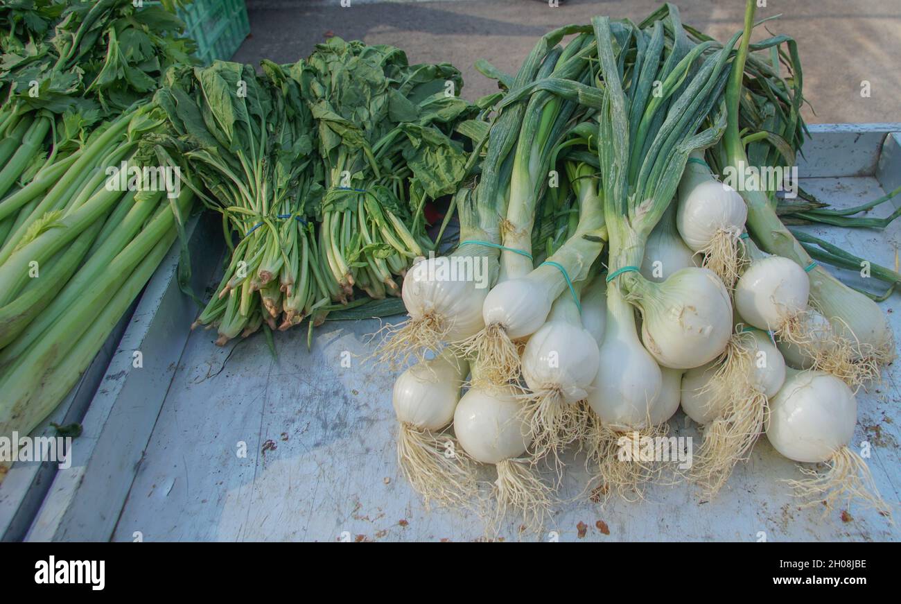 Bunch of fresh green spring onions and celery at a market Stock Photo ...