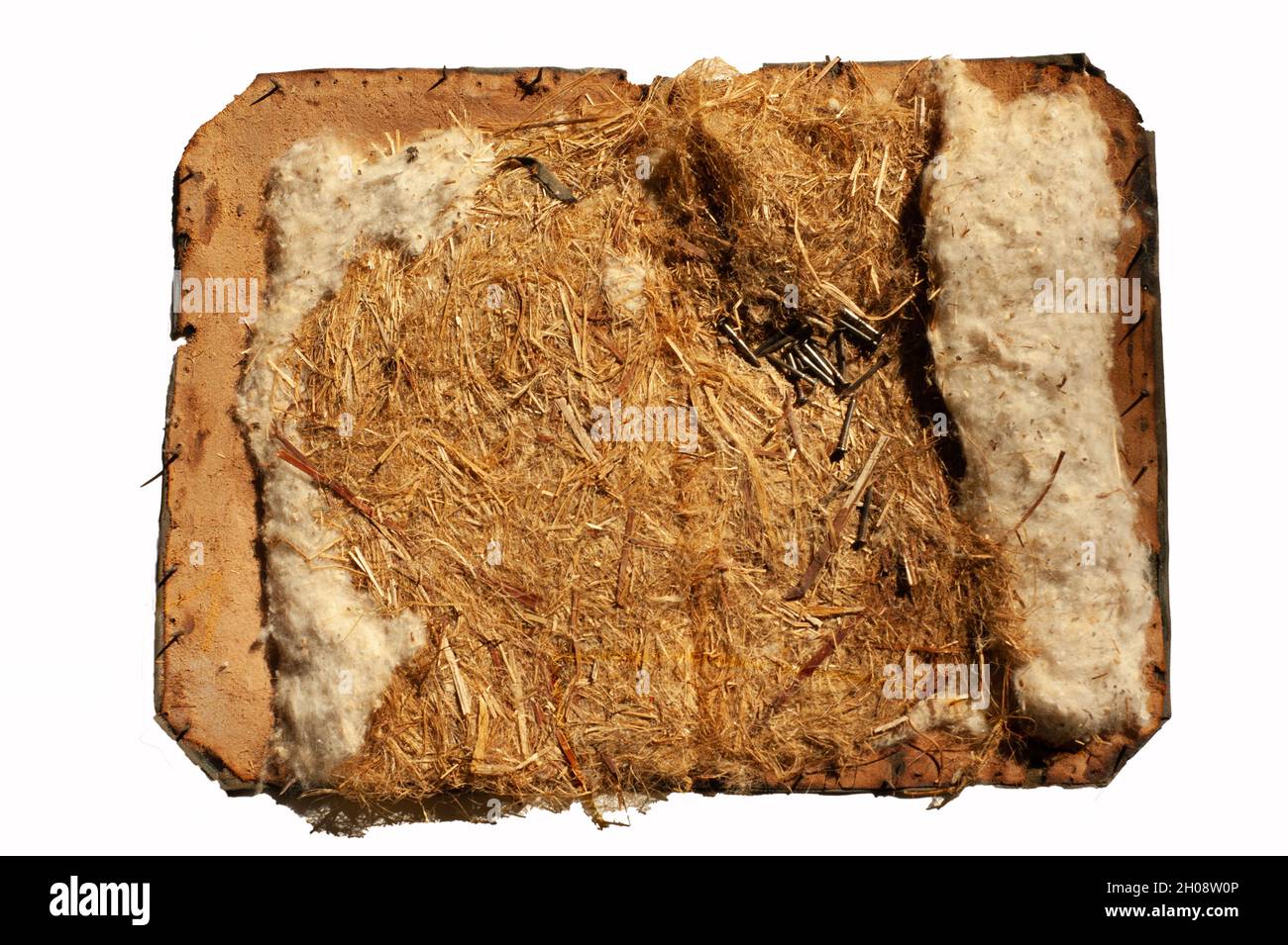 Exposed seat filling from an antique leather upholstered chair or stool. Photo shows straw, cotton, nails and old leather that has been removed. DIY Stock Photo